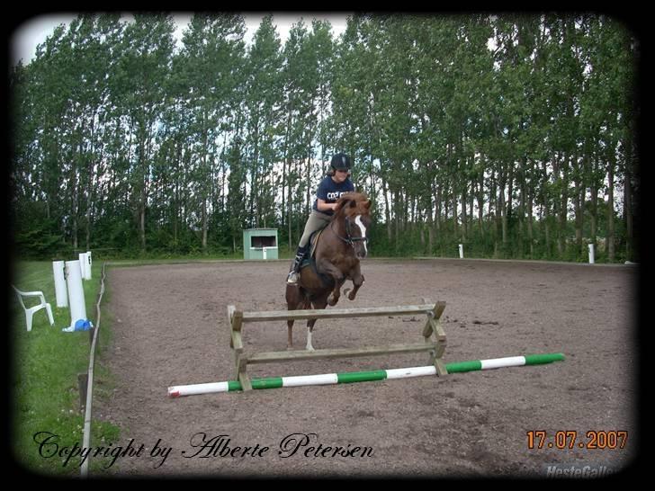 Anden særlig race Dixie † 27 jan. 2008 - - 13) Dixie og jeg springer. Det var vores bedste periode. Han sprang så fint der! <3. billede 13