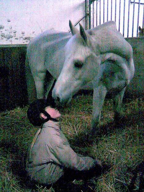 Anden særlig race Bella *SOLGT* - det er bellas kyss hehe billede 2