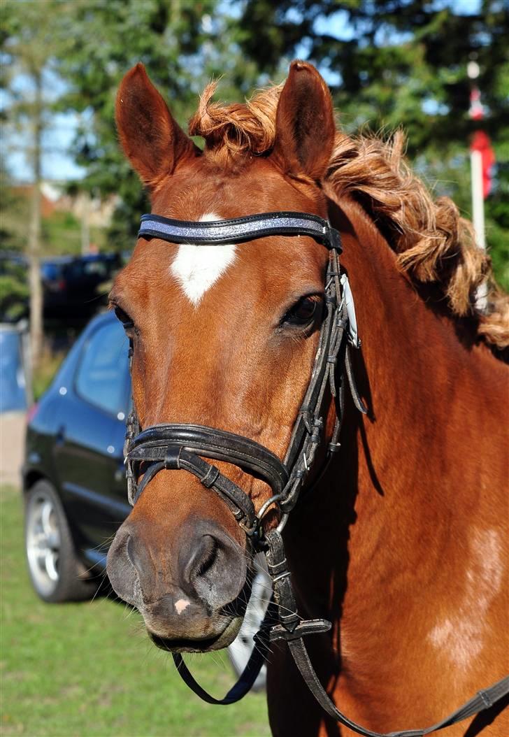 Anden særlig race fighter <3 billede 6