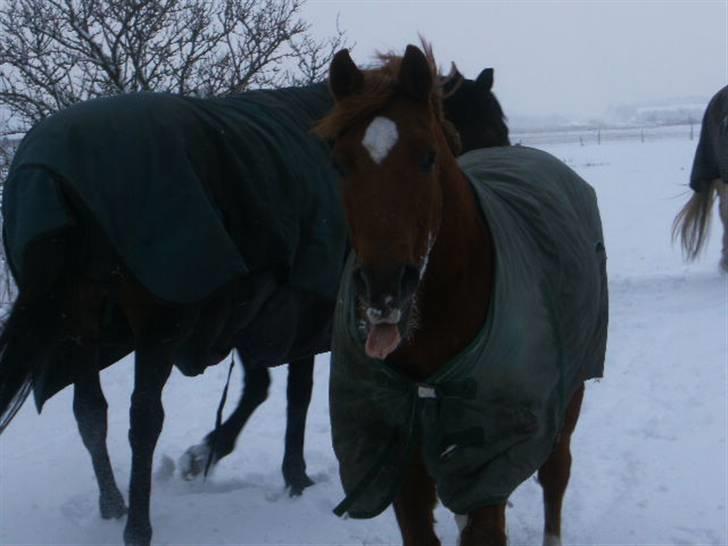 Anden særlig race fighter <3 billede 7