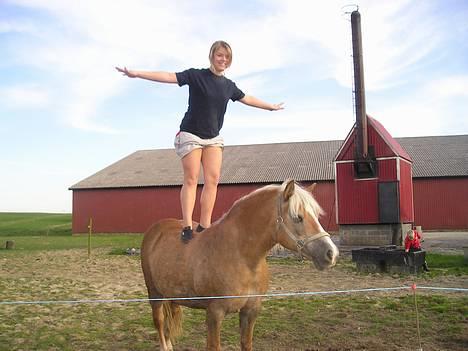 Haflinger misty - min storesøster & misty. :) billede 1