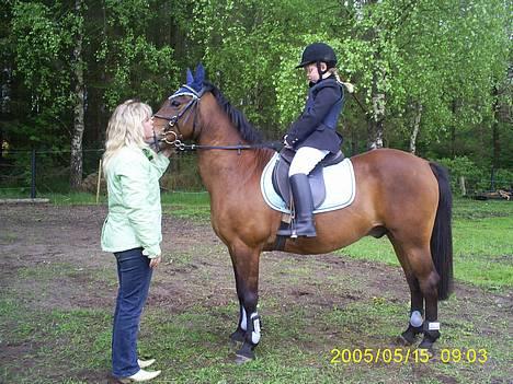 DSP MILAN - Velkommen hertil : ) - Mig & Milan < 3 Stævne i SIR :)  billede 1