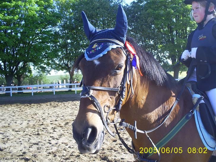 DSP MILAN - mig & MIlan i LIND :) VI fik en rosette :) ( LD met. B0  billede 3