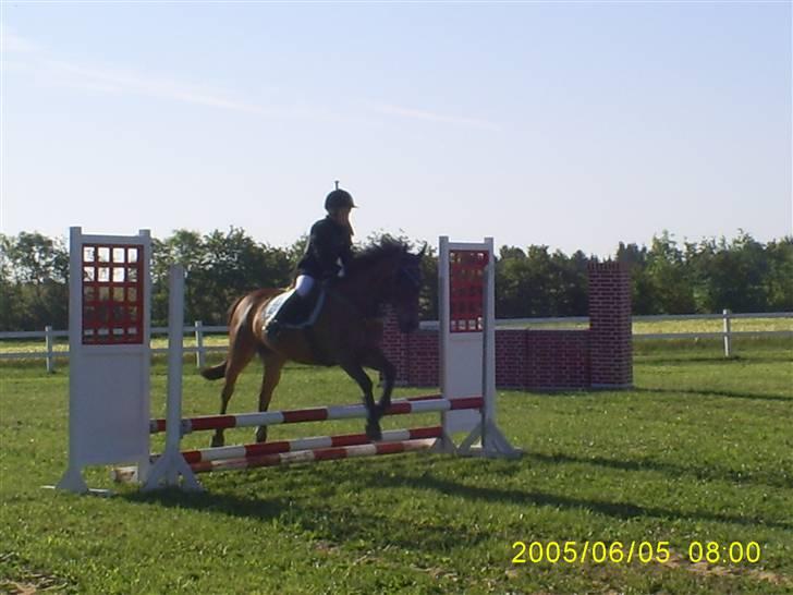 DSP MILAN - Mig & MIlan, i LIND :)  billede 5