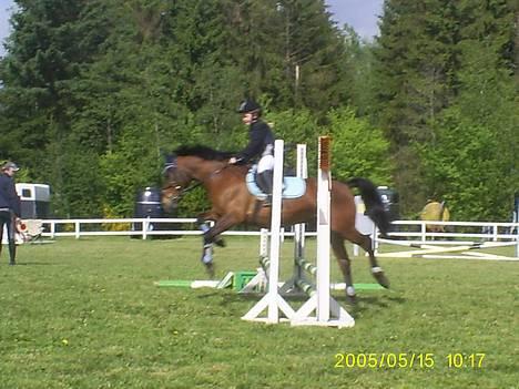 DSP MILAN - Mig & Milan LD :) ( sir )  billede 7