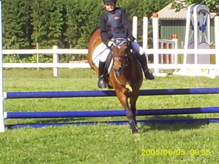 DSP MILAN - Mig& Milan i LIND :) billede 8