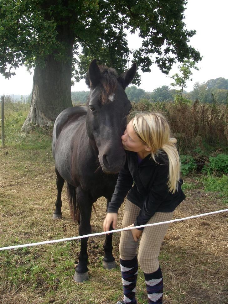 Anden særlig race Beauty  - Kyyys til min smukke pony (: billede 14