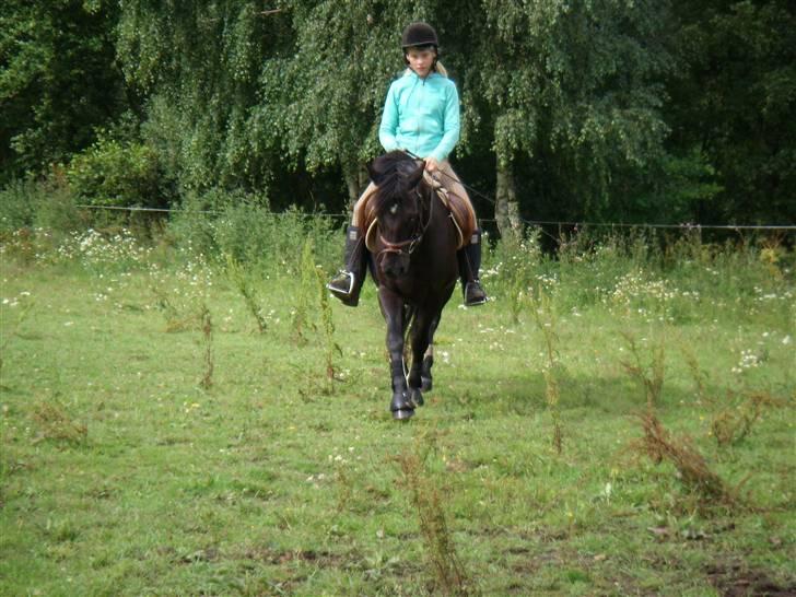 Anden særlig race Beauty  - Mig og Beauty.  billede 15