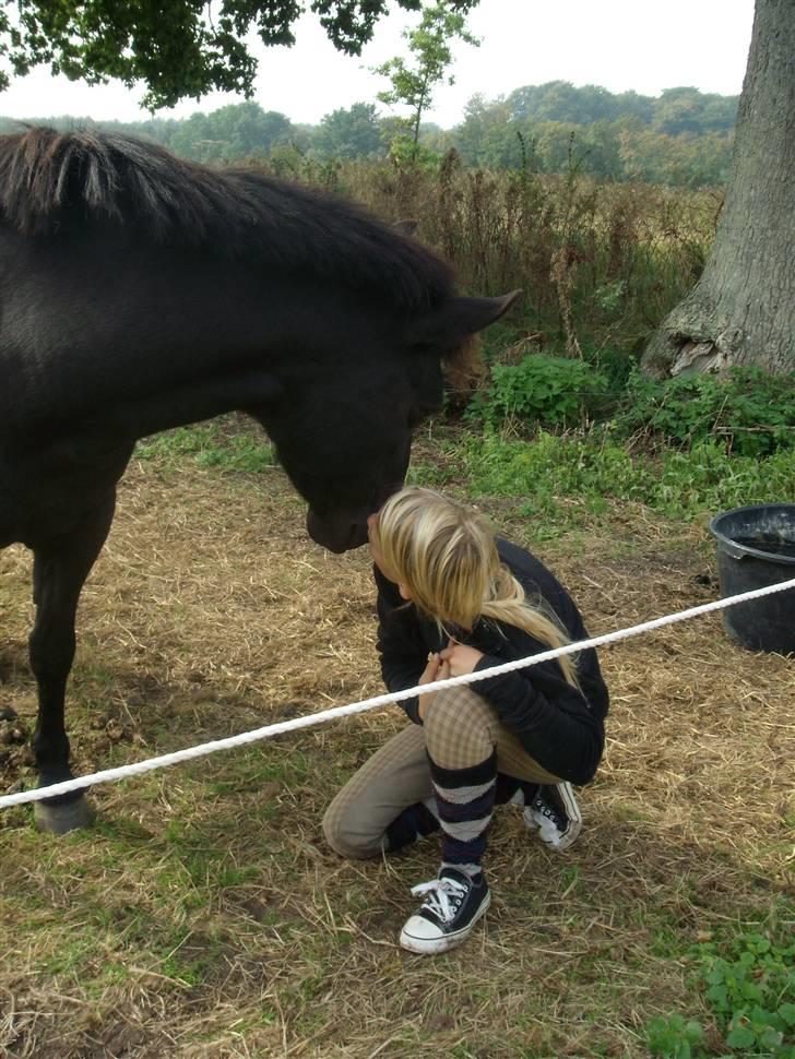 Anden særlig race Beauty  - Mon mor har noget spændende? (: billede 16
