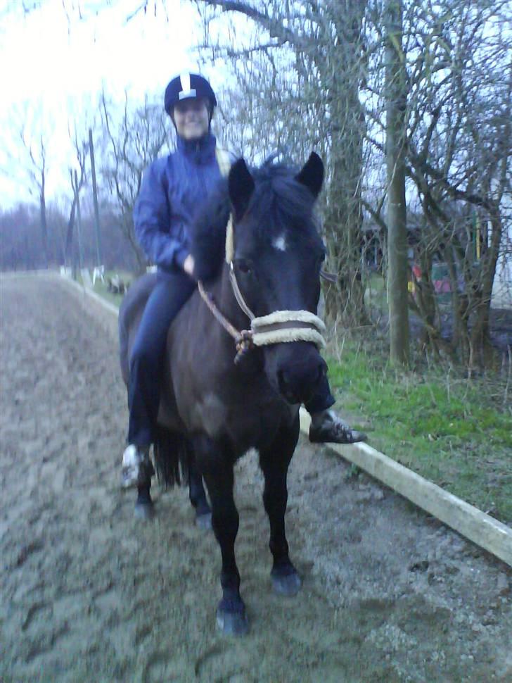 Anden særlig race Beauty  - Hygge med hende. Må kun skridte på hende. Men ikke særlig længe. :( billede 17