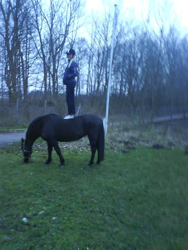 Anden særlig race Beauty  - Stoler stadig 100 procent på hende! billede 18