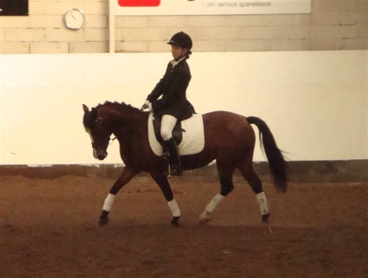 DSP *Yasmin* Solgt :`( - 10. Her vandt vi LC2 - 72,32% (stillede op for 1. gang)10/10 billede 10