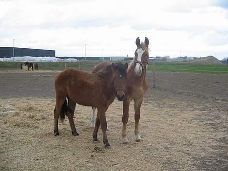 Frederiksborg Boomerang Vejvad billede 4