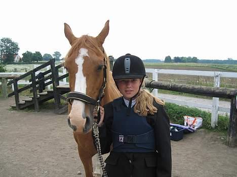 Hollandsk Sportspony  | Chantelle <3 - SAVNET !! <3 billede 5