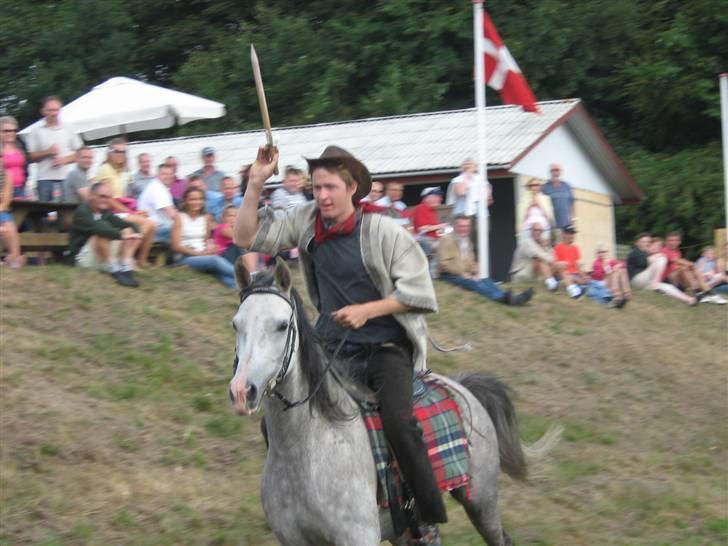 Arabisk fuldblod (OX) Mujallin (Solgt) - Træning billede 2