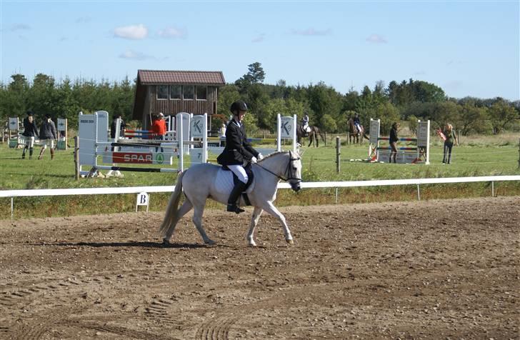 Anden særlig race Hobit - SOLGT - LC2 i RKH d. 09.09.07 Fotograf: Min far billede 6