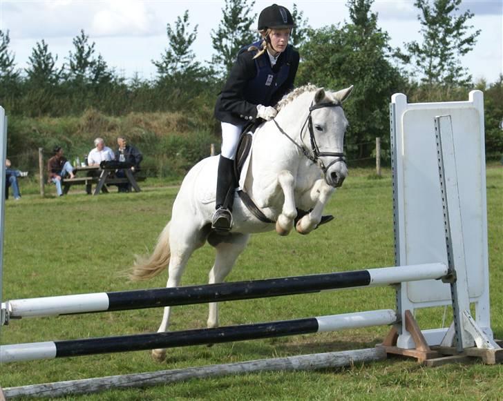 Anden særlig race Hobit - SOLGT - LD i RKH. Fotograf: Far billede 7