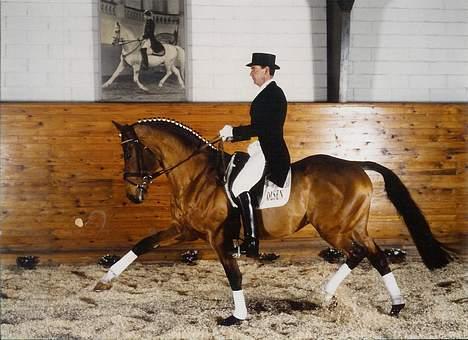 Anden særlig race sissi victoria - FARFAR TIL OLYMPIA billede 3