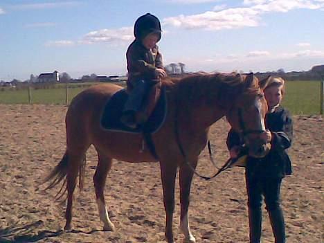 Anden særlig race sissi victoria - HENDES DATTER VICTORIA billede 4