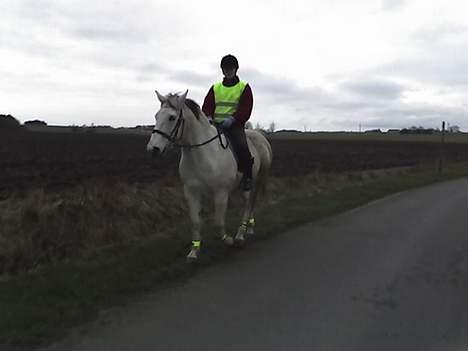 Anden særlig race Cisco - Cisco og Maiken på tur.. billede 10