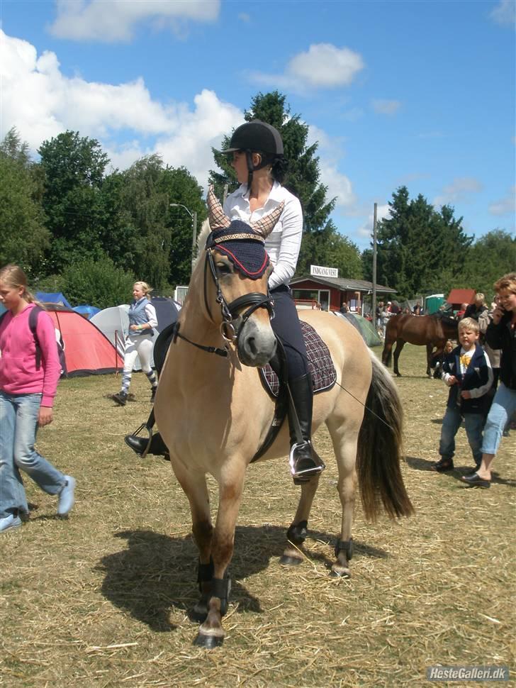 Fjordhest  Bella (¯`v´¯ ) solgt - Bella og mig på det fynske børnedyreskuet. billede 8