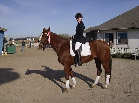 Dansk Varmblod Sophia *RIP* - Wee første roset til et udvidet klubstævne billede 14