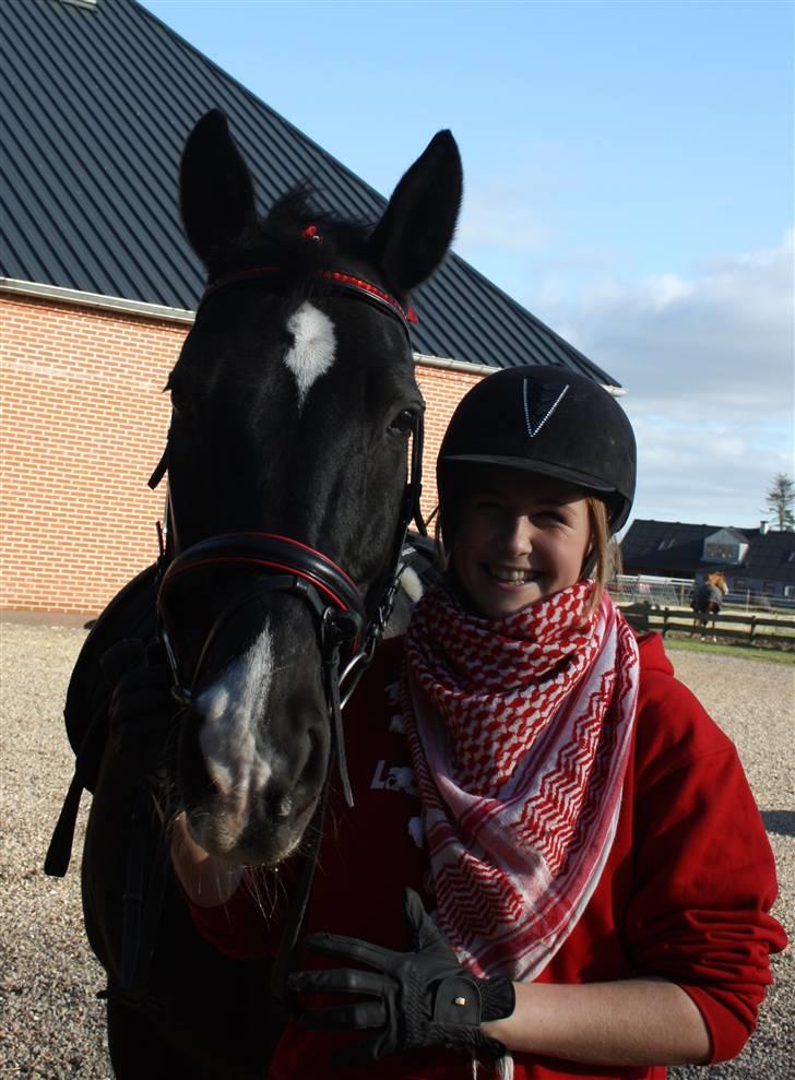 Dansk Varmblod Lady Hunter R.I.P :'( - Velkommen til Hunters profil <3 billede 1