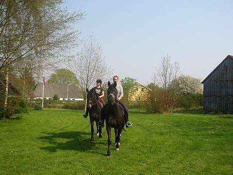 Anden særlig race Samson - Heide, Nero, Samson og jeg er på tur hjem i vores have billede 4