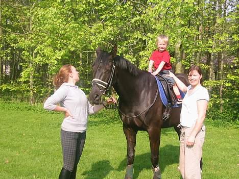 Anden særlig race Samson - Min lilebror ville prøve  billede 5