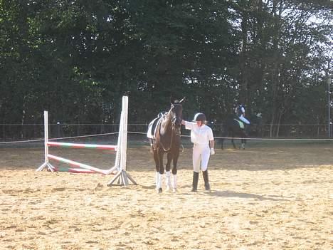 Anden særlig race Samson - Toftlund billede 19