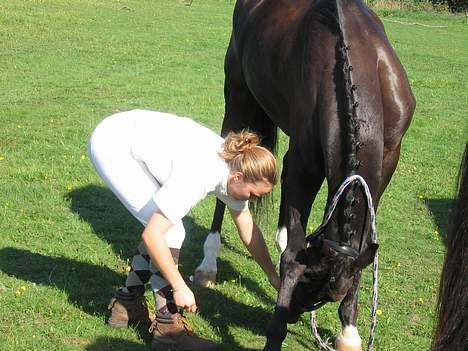 Anden særlig race Samson - Vi skal da også strække ud, men kun fordi han ved han får en godbid billede 20