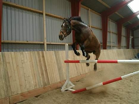 DSP MILAN - Mega sejt bileld.  ) billede 11