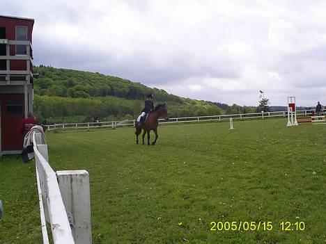 DSP MILAN - MIg 6 MIlan i SIR !  billede 12