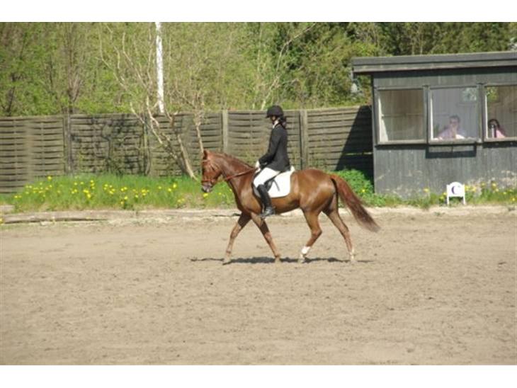 {{currentPhoto.altText}} billede {{currentPhoto.number}}