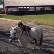 Anden særlig race Madonna