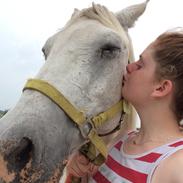 Anden særlig race Madonna