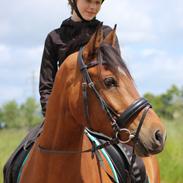 DSP Remontes Casanova