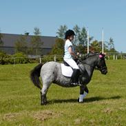 Anden særlig race Miss Cheri