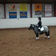 Anden særlig race Miss Cheri