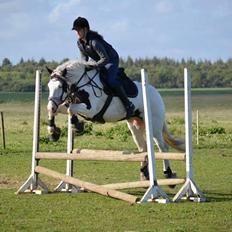 Tinker Hauge's Aileen [Ko]