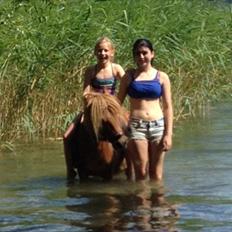 Anden særlig race Prins