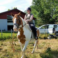 Anden særlig race Ramon (Monse)