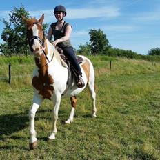 Anden særlig race Ramon (Monse)