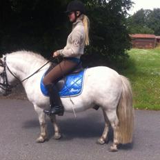 Anden særlig race Silas [Tidl. Part]