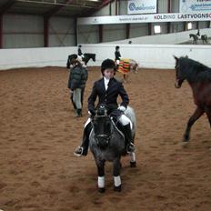 Anden særlig race Miss Cheri