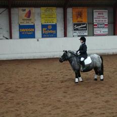 Anden særlig race Miss Cheri