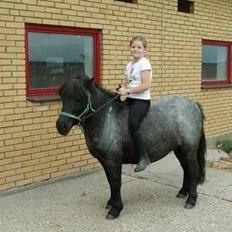 Anden særlig race Miss Cheri