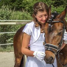 Anden særlig race Chili [Tidl. Pony]