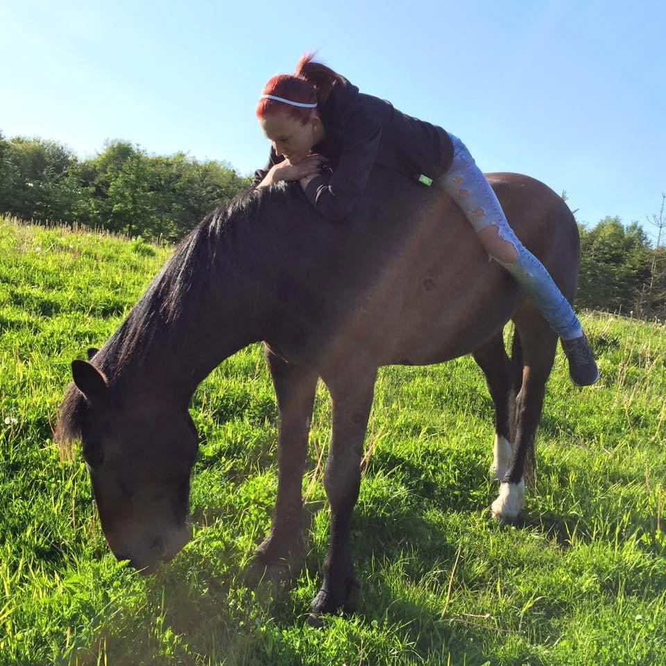 Anden særlig race Bølle. billede 8