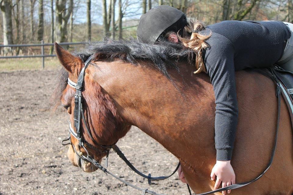 Anden særlig race Mystery billede 12